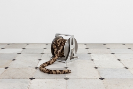 Pablo Bronstein, Matt Connors, Cary Kwok, Lucia Di Luciano, Christina Mackie..., Variation, Herald St