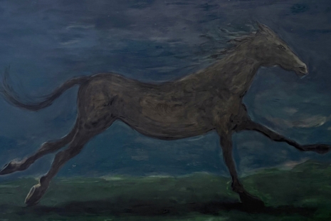 Tanya Merrill , Land Animal, House Animal, 303 Gallery