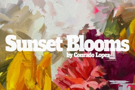 Gaëtan Henrioux, Conrado Lopez, Sunset Blooms, Au Cube