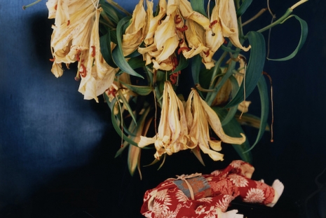 Nobuyoshi Araki, Alvaro Barrington, Georg Baselitz, Ellen Berkenblit..., Art Basel Paris, Anton Kern Gallery