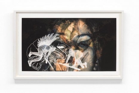 Mamma Andersson, Nalini Malani, Alison Saar, Prints, Galerie Lelong
