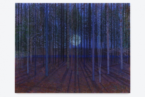 Sky Glabush, IF THE WILD BIRD COULD SPEAK, Alison Jacques