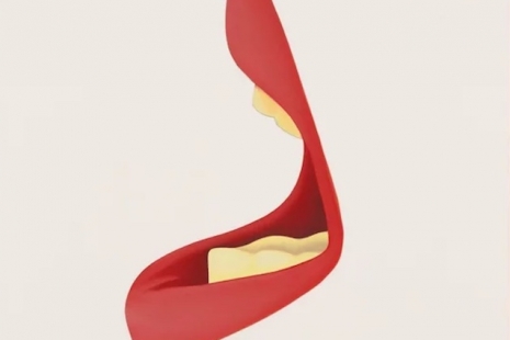 Tom Wesselmann, The Greatness of the Everyday, Almine Rech