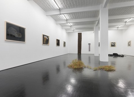 Geta Brătescu, Atelier Continuu, Galerie Barbara Weiss