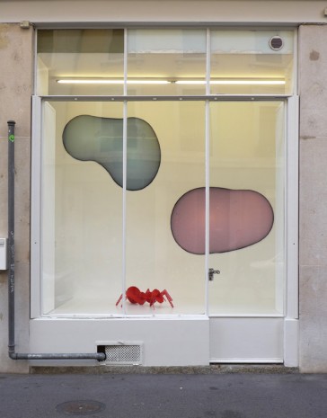 Peter Kogler, , Galerie Mezzanin