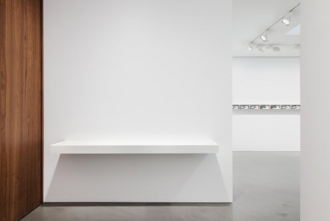 Michael Wang, Rivals, Andrea Rosen Gallery