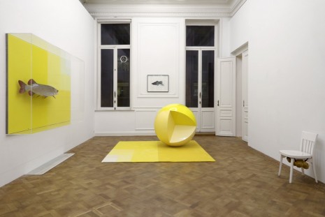 Carsten Höller, Hormoon/Hormone, Galerie Micheline Szwajcer (closed)