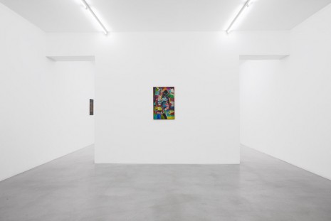 Scott Olson, , Galerie Nordenhake