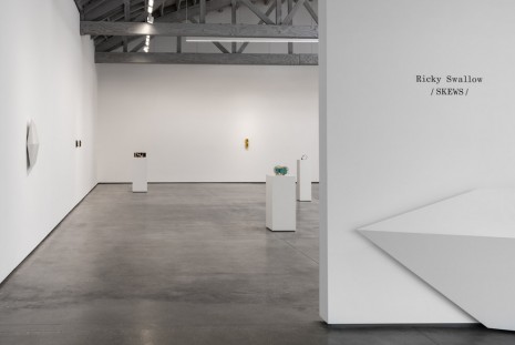 Ricky Swallow, /SKEWS/, David Kordansky Gallery