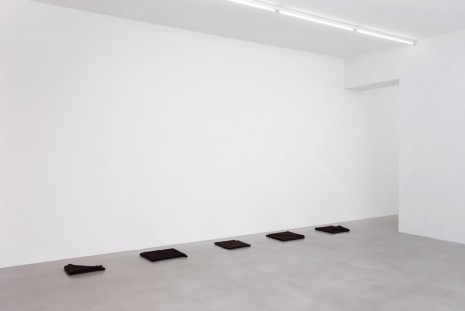 Helen Mirra, , Galerie Nordenhake