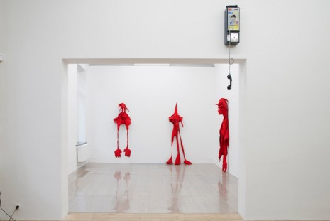 Rosa Aiello, Renaud Jerez, Jason Matthew Lee, Embodiment, Galerie Catherine Bastide