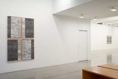 Lisa Oppenheim, Gramma, Tanya Bonakdar Gallery