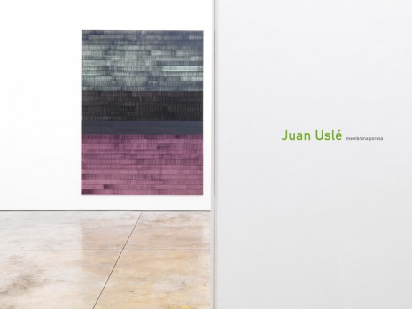 Juan Uslé, Membrana Porosa, Cheim & Read