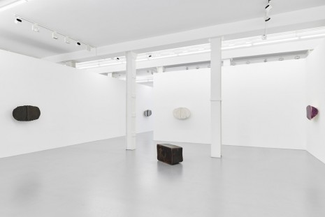 Liz Larner, , Galerie Max Hetzler