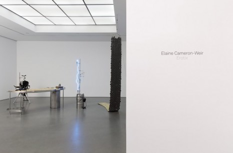 Elaine Cameron-Weir, Erotix, Andrea Rosen Gallery
