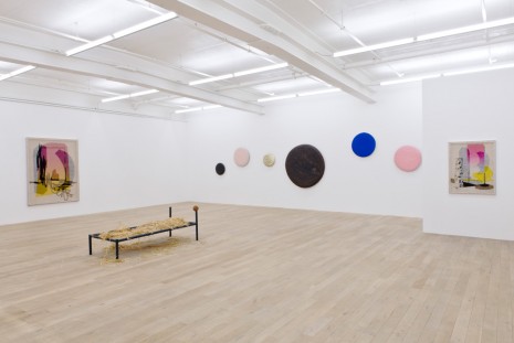 David Renggli, Sunshine on Fruits, Galerie Peter Kilchmann