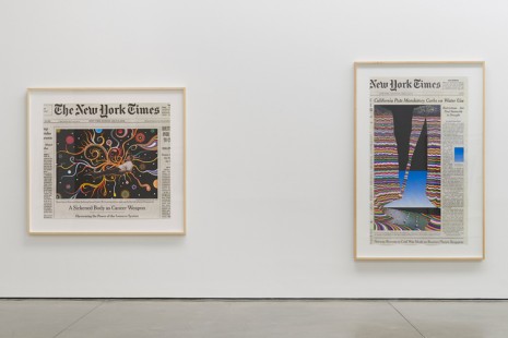 Fred Tomaselli, Paper, White Cube
