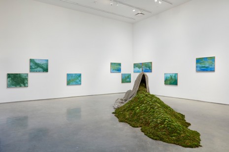 Thiago Rocha Pitta, The First Green, Marianne Boesky Gallery