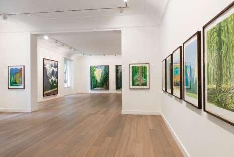 David Hockney, The Yosemite Suite, Galerie Lelong & Co.