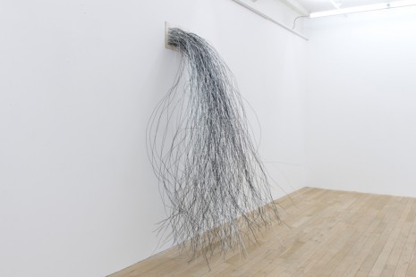 Jorge Macchi, Mikrokosmos, Galerie Peter Kilchmann