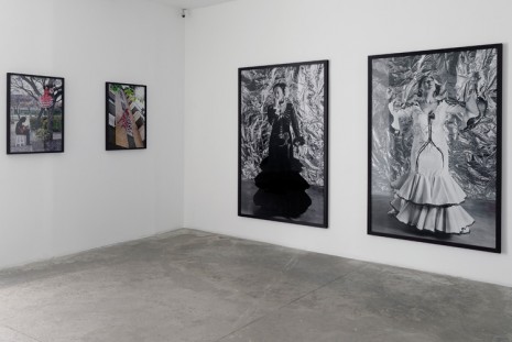 Pilar Albarracín, Anatomía flamenca, Galerie Georges-Philippe & Nathalie Vallois