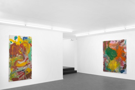 Anke Weyer, Elbow Hood Trunk, Tim Van Laere Gallery