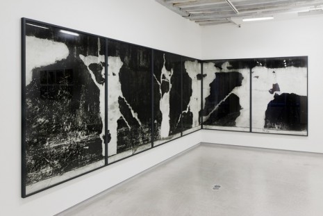 Lukas Hoffmann, Staring at the scenery, Galerie Bertrand Grimont