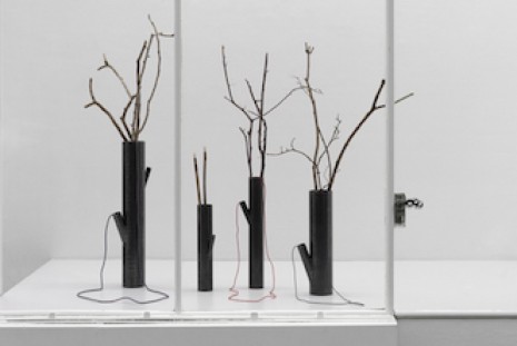 Sunah Choi, Kólla, Galerie Mezzanin