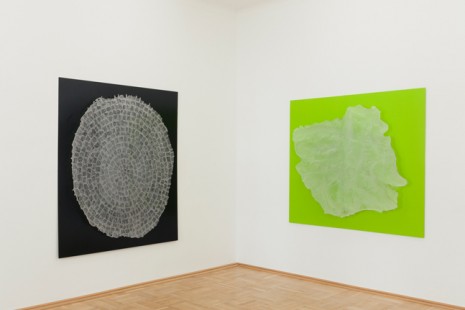 Daniel Knorr, Reduce Speed Now, Galerie nächst St. Stephan Rosemarie Schwarzwälder