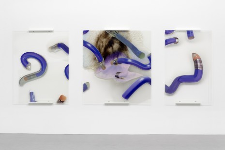 Seth Price, Raw , Galerie Gisela Capitain