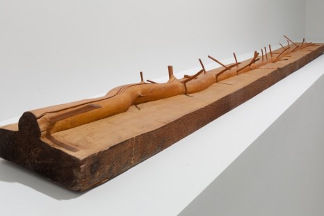 Giuseppe Penone, A Question of Identity, Marian Goodman Gallery