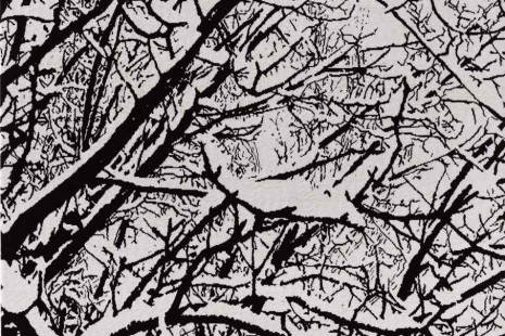 Farhad Moshiri, First Snow, Galerie Thaddaeus Ropac