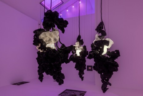 Loris Gréaud, Ladi Rogeurs, Galerie Max Hetzler