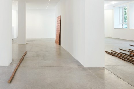 Ximena Garrido-Lecca, Lines of Divergence , Galerie Gisela Capitain