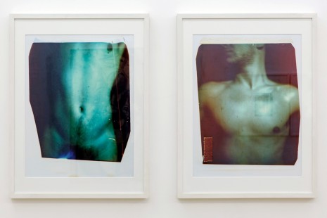 Paolo Gioli, The Nude in the work of Paolo Gioli, Amanda Wilkinson