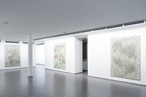 Erwin Gross, Jatropha, Galerie Bernd Kugler