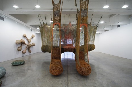 Ernesto Neto, Slow iis good, Tanya Bonakdar Gallery