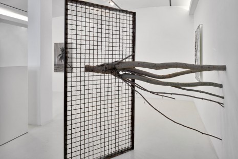 Taiyo Onorato & Nico Krebs, FUTURE PERFECT, Sies + Höke Galerie