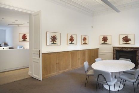 David Nash, Trees, Galerie Lelong & Co.